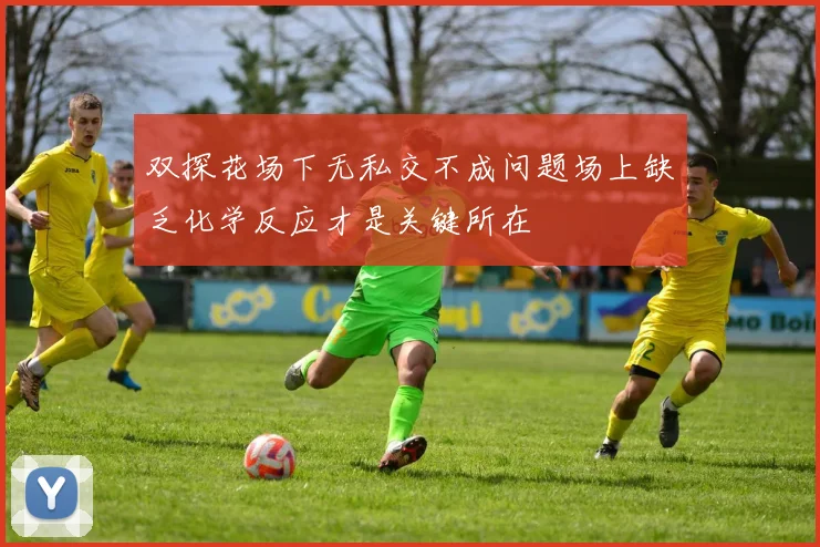 双探花场下无私交不成问题场上缺乏化学反应才是关键所在