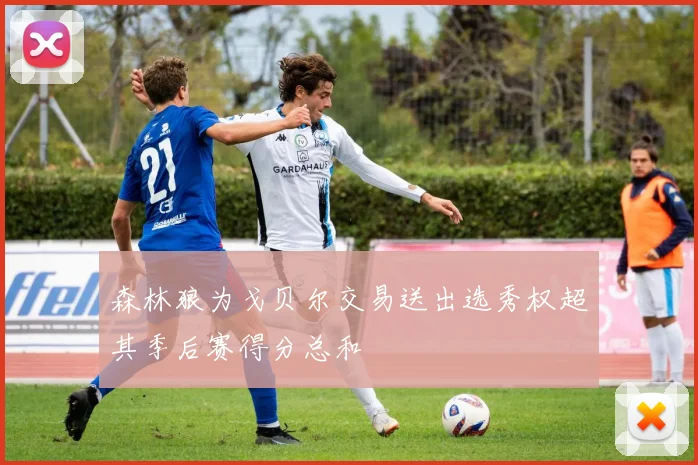 森林狼为戈贝尔交易送出选秀权超其季后赛得分总和