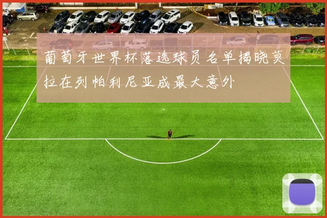 葡萄牙世界杯落选球员名单揭晓莫拉在列帕利尼亚成最大意外